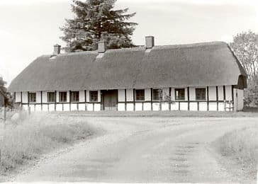 Aktiv sommer 2005