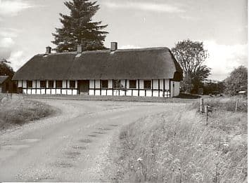 Aktiv sommer 2005