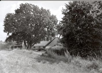 Aktiv sommer 2007