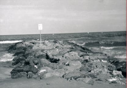 Aktiv sommer 2014